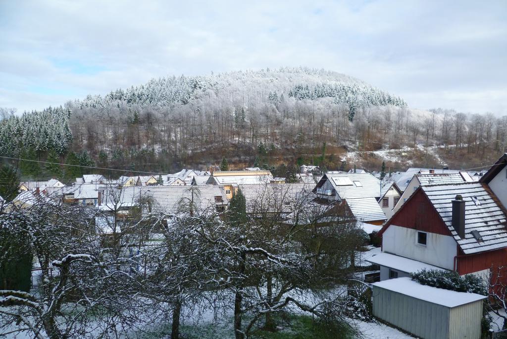 Apartamento Schwarzwald Domizil Uhlsberg Kippenheim Exterior foto