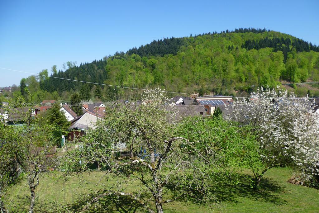 Apartamento Schwarzwald Domizil Uhlsberg Kippenheim Habitación foto