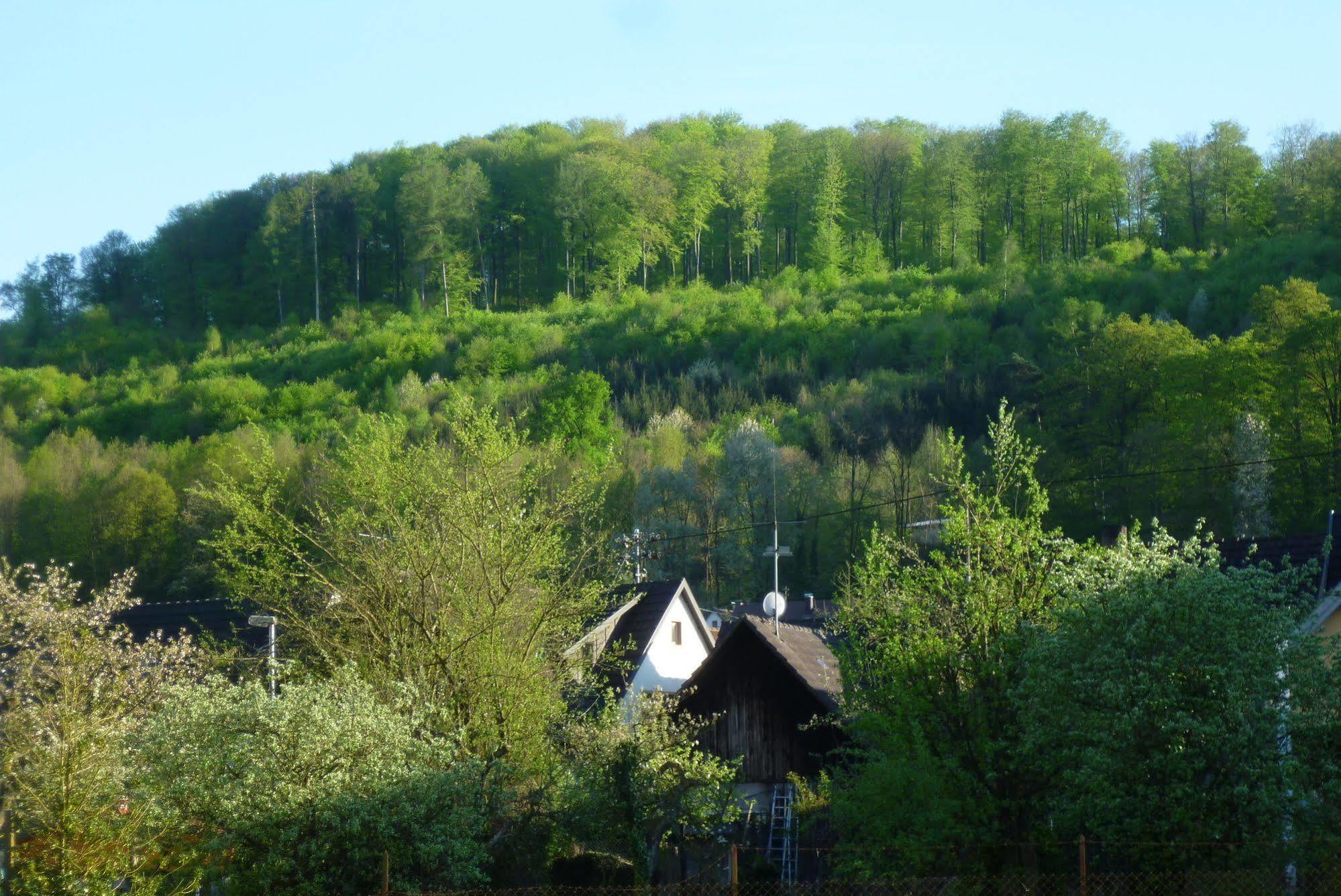 Apartamento Schwarzwald Domizil Uhlsberg Kippenheim Exterior foto